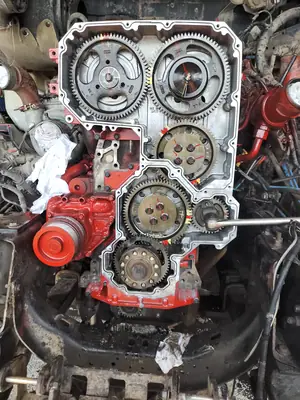 Le carter de distribution ouvert d’un moteur diesel
